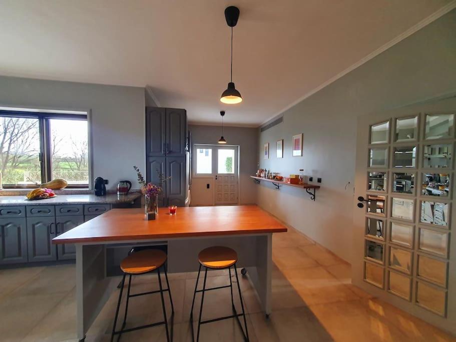 Azurara Guesthouse 외부 사진